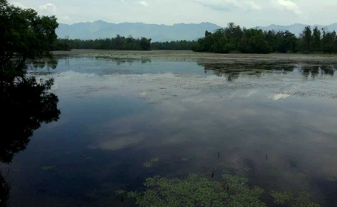 अत्यधिक दोहनले सङ्कटमा सिमसार