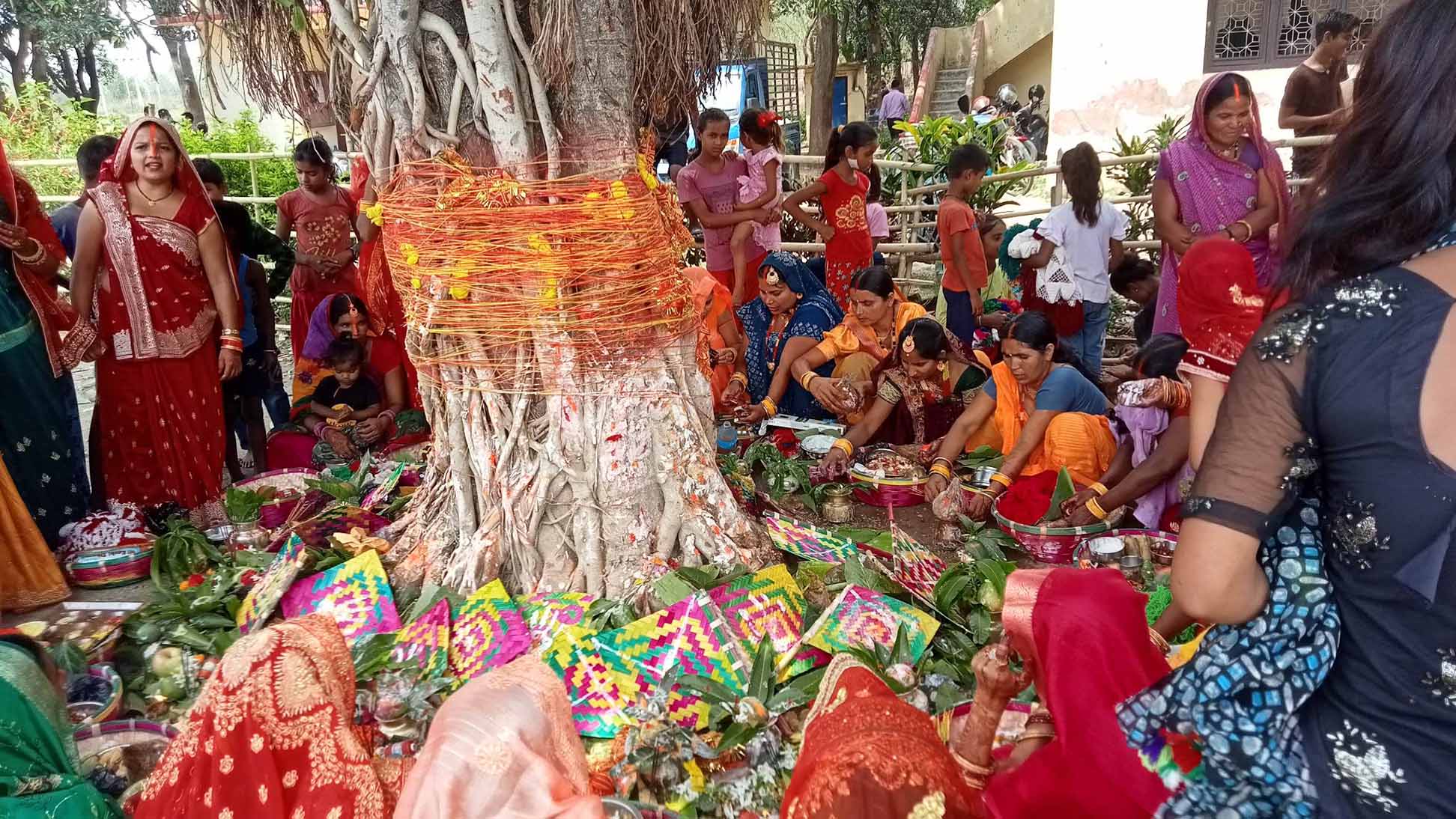 मिथिलाञ्चलमा वटसावित्री पर्व मनाइँदै