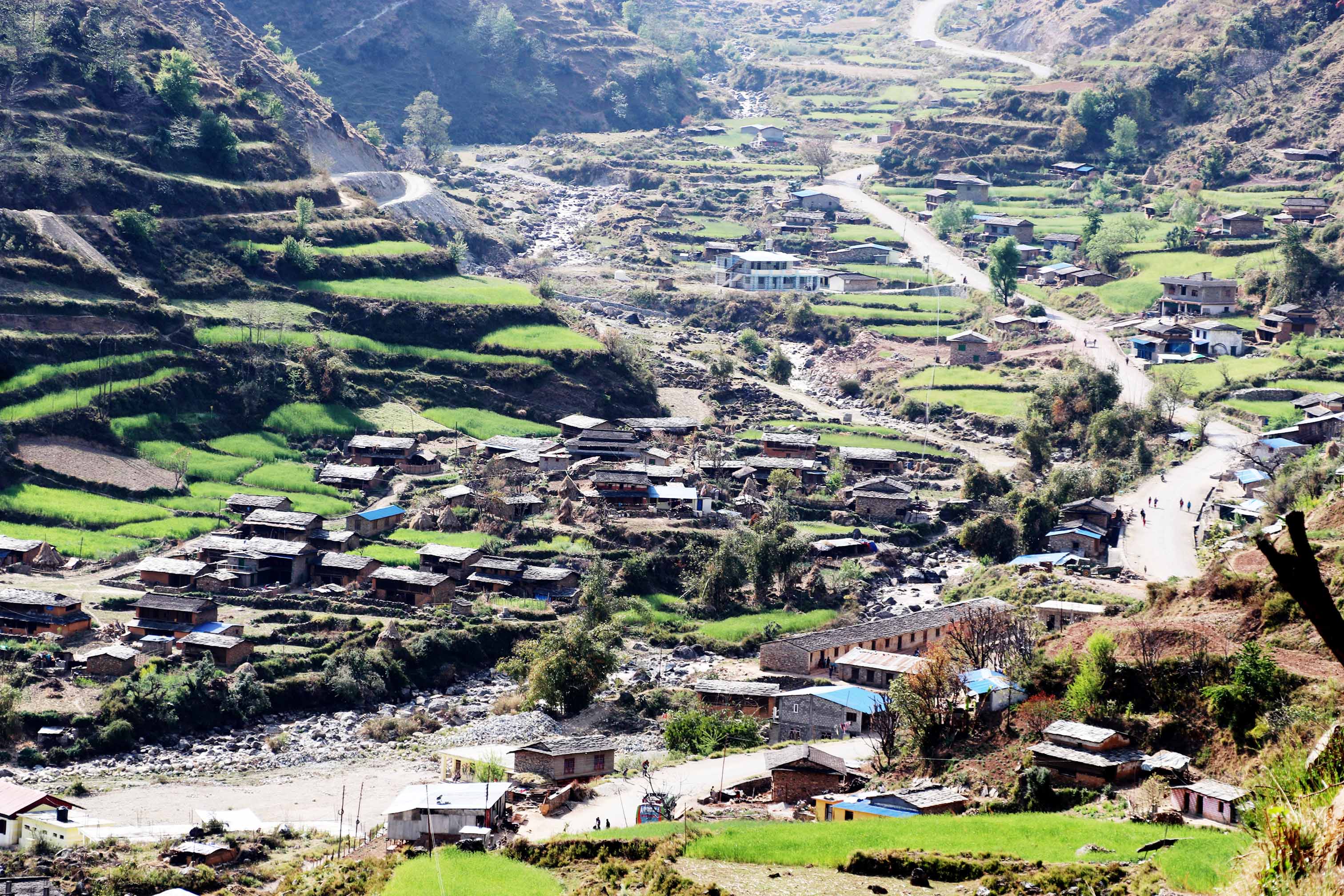 बजार मोहले मातृ भाषा संरक्षणमा चुनौती