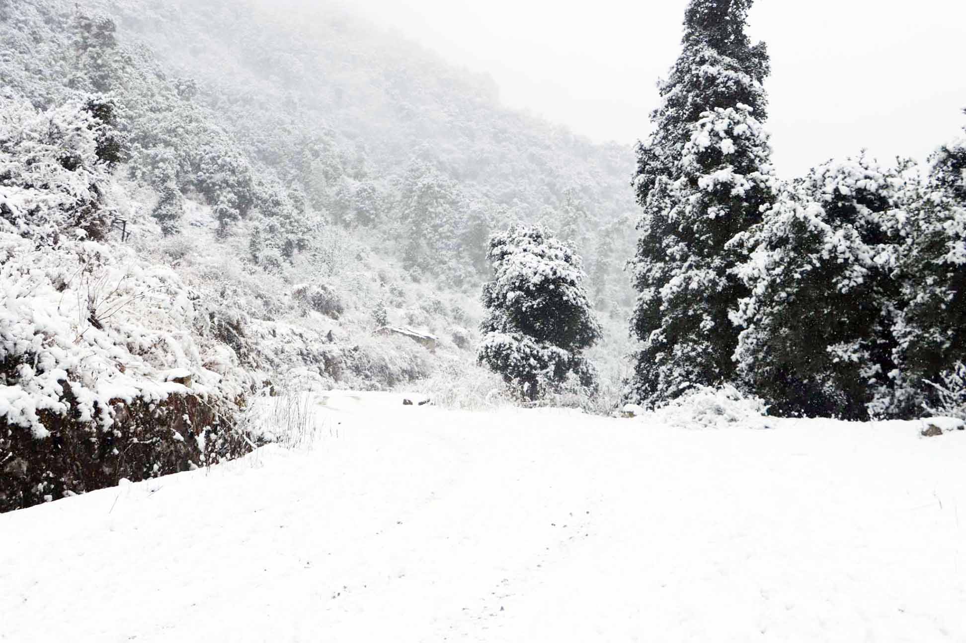 २० घन्टादेखि अवरुद्ध लोकमार्ग सञ्चालनको प्रयास