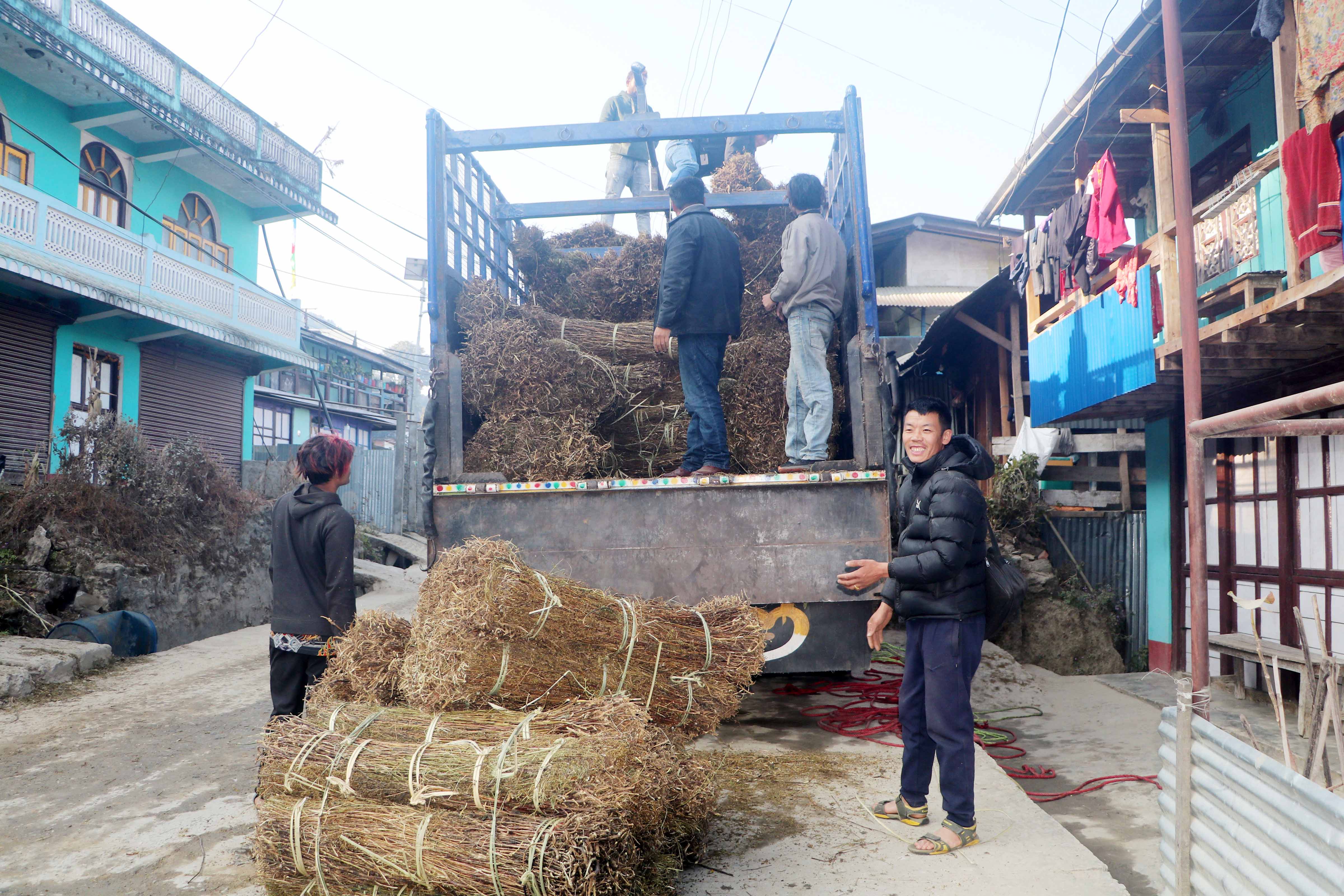 चिराइतो मूल्य बढ्दो, उत्पादन घढ्दो