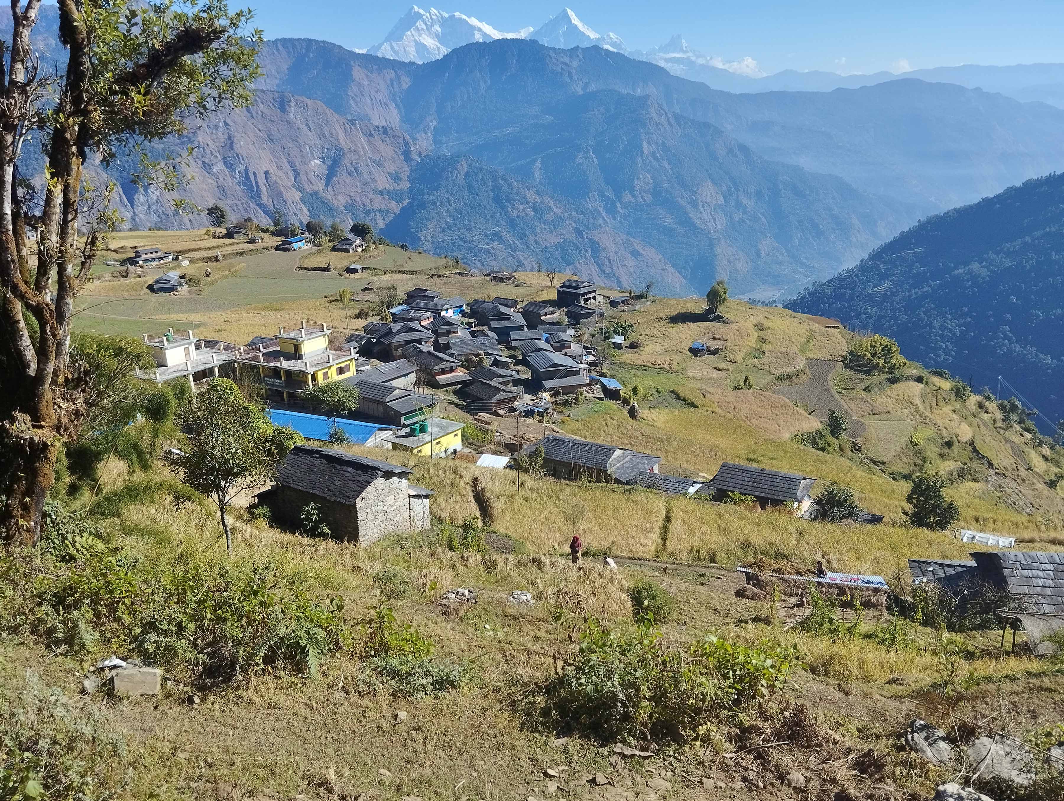 पूर्वाधार र उत्पादन बढ्दा पनि घटेन बसाइँसराइ