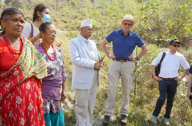 अनुकूलन कार्यक्रमले हराभरा हुँदै काभ्रेका पाखा