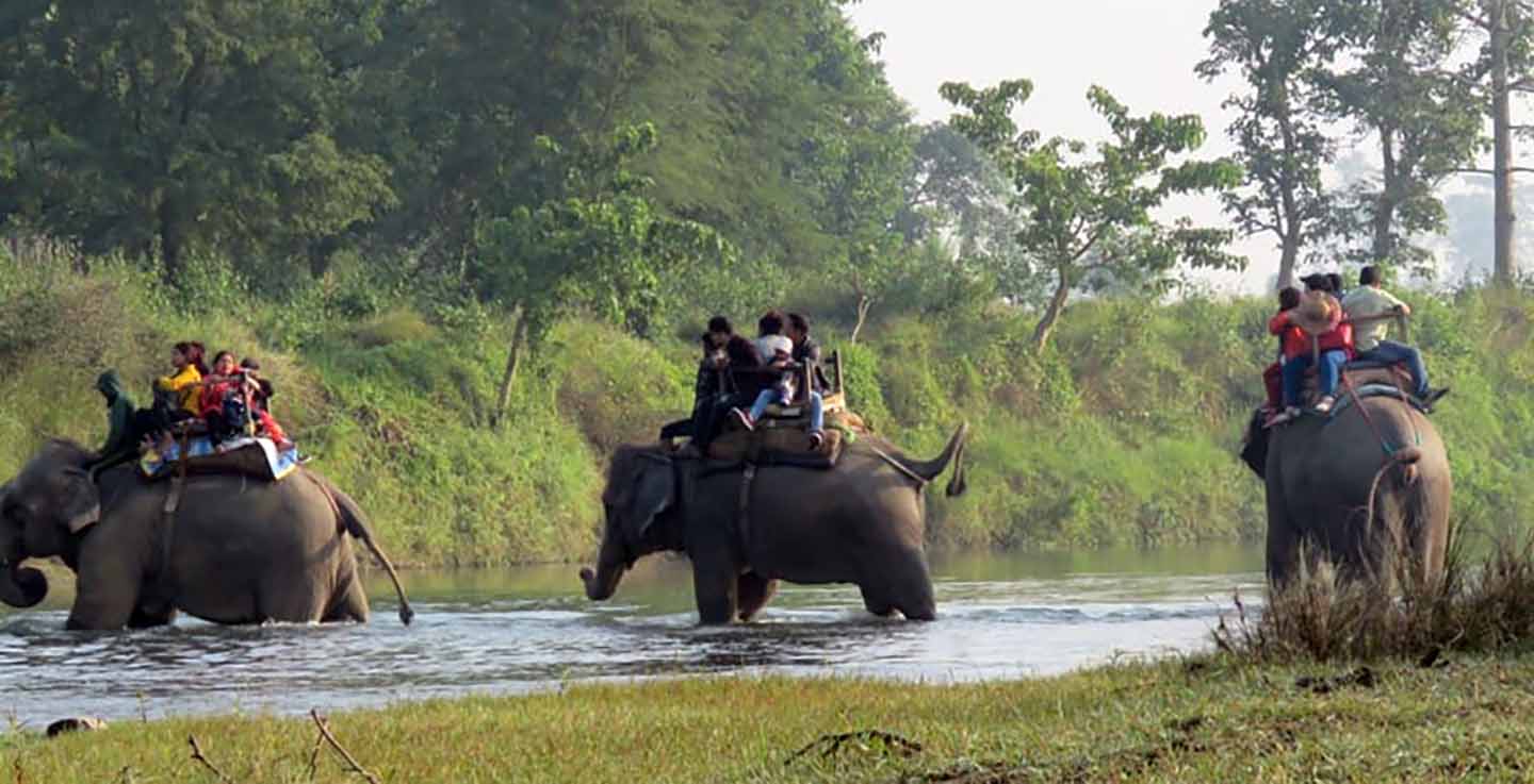 सौराहामा बढे चिनियाँ र भारतीय पर्यटक