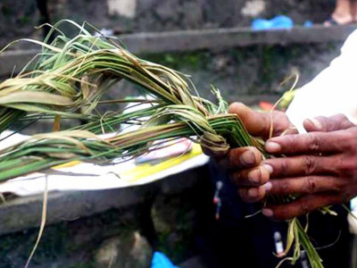 भाद्रकृष्ण औँसी: गोकर्णे औँसी (कुशे औँसी), पितृ सम्मान दिवस