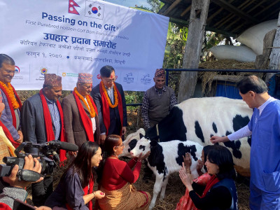 किसानको जीवनस्तर उकास्ने ‘मिल्की वे’