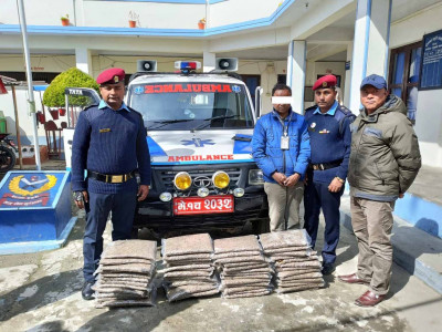 एम्बुलेन्समा गाँजा ओसारपसार गर्ने पक्राउ