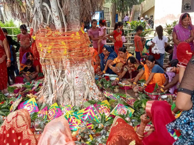 मिथिलाञ्चलमा वटसावित्री पर्व मनाइँदै