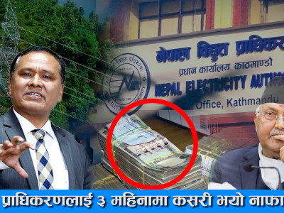 How Did The Authority Make Profit In 3 Month ।। नेपाल विद्युत प्राधिकरण ।। Kulman Ghising ।।