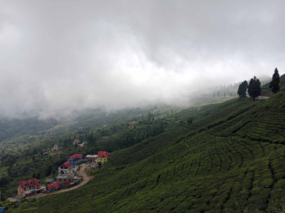 चिया टिप्न हातेमेसिन प्रदान गर्दै सूर्योदय नगरपालिका