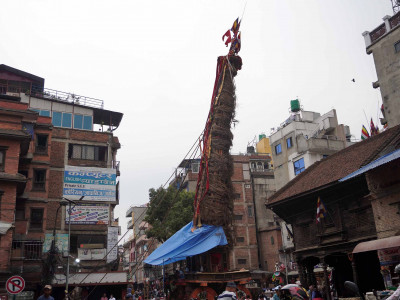 रातो मच्छिन्द्रनाथ रथयात्रा साउन १७ मा