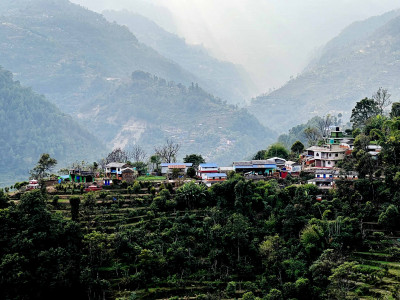 बसाइँसराइले रित्तिदै गाउँः बढ्यो बाँदर आतङ्क