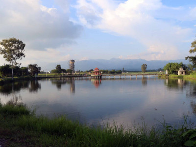 तुलसीपुरस्थित गौरीगाउँ ताल ओझेलमा