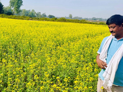 राजनीतिसँगै कृषिकर्ममा पूर्वप्रमुख चौधरी