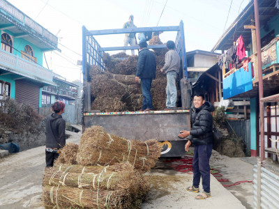 चिराइतो मूल्य बढ्दो, उत्पादन घढ्दो