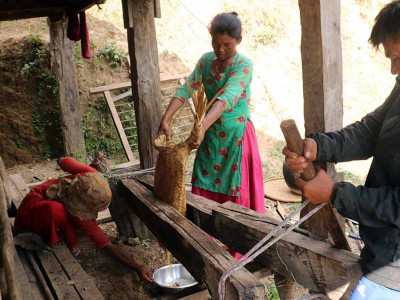 चिउरीबाट घ्यू उत्पादन गर्दै चेपाङ