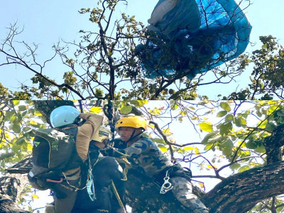 रुखमा अड्किएका दुई प्याराग्लाइडरको उद्धार