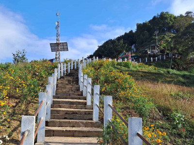 मझुवागढीलाई ‘फूलैफूलको पहाड’ बनाउने अभियान