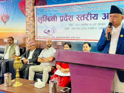 ‘द्वन्द्वपीडितहरुको अधिकार संरक्षणमा सरकारले ध्यान दिएको छ’