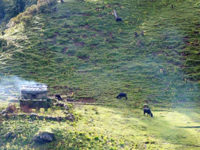 ‘जहाँको दूध बिक्री नै हुँदैन’