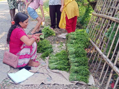 निगुरो व्यापार: लगानी बिना नै लोभलाग्दो आम्दानी