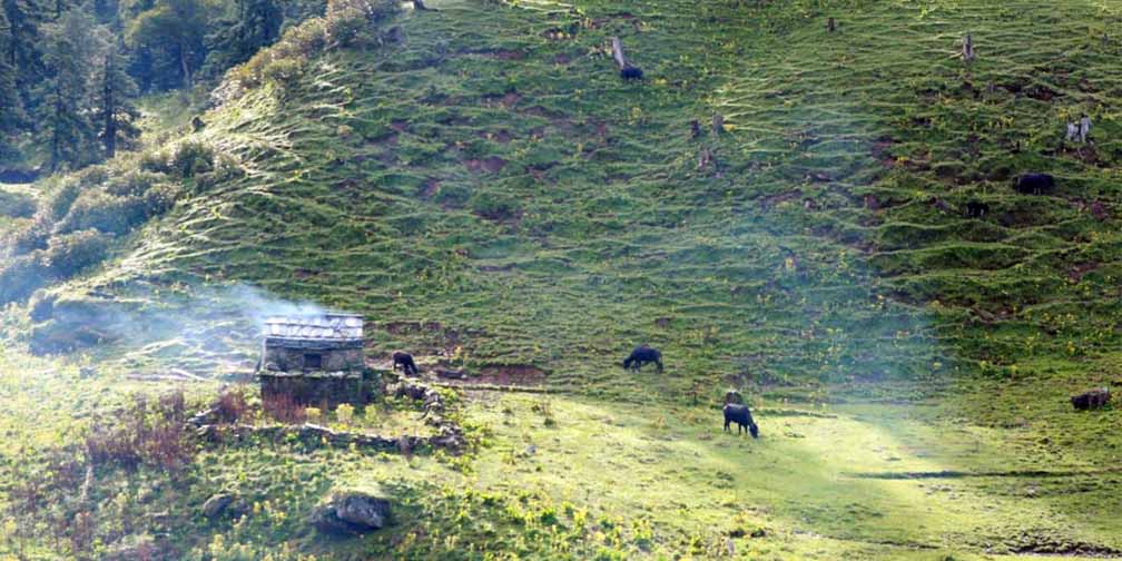 ‘जहाँको दूध बिक्री नै हुँदैन’