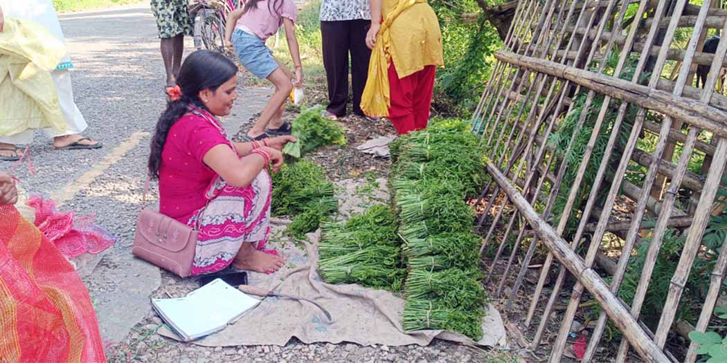 निगुरो व्यापार: लगानी बिना नै लोभलाग्दो आम्दानी