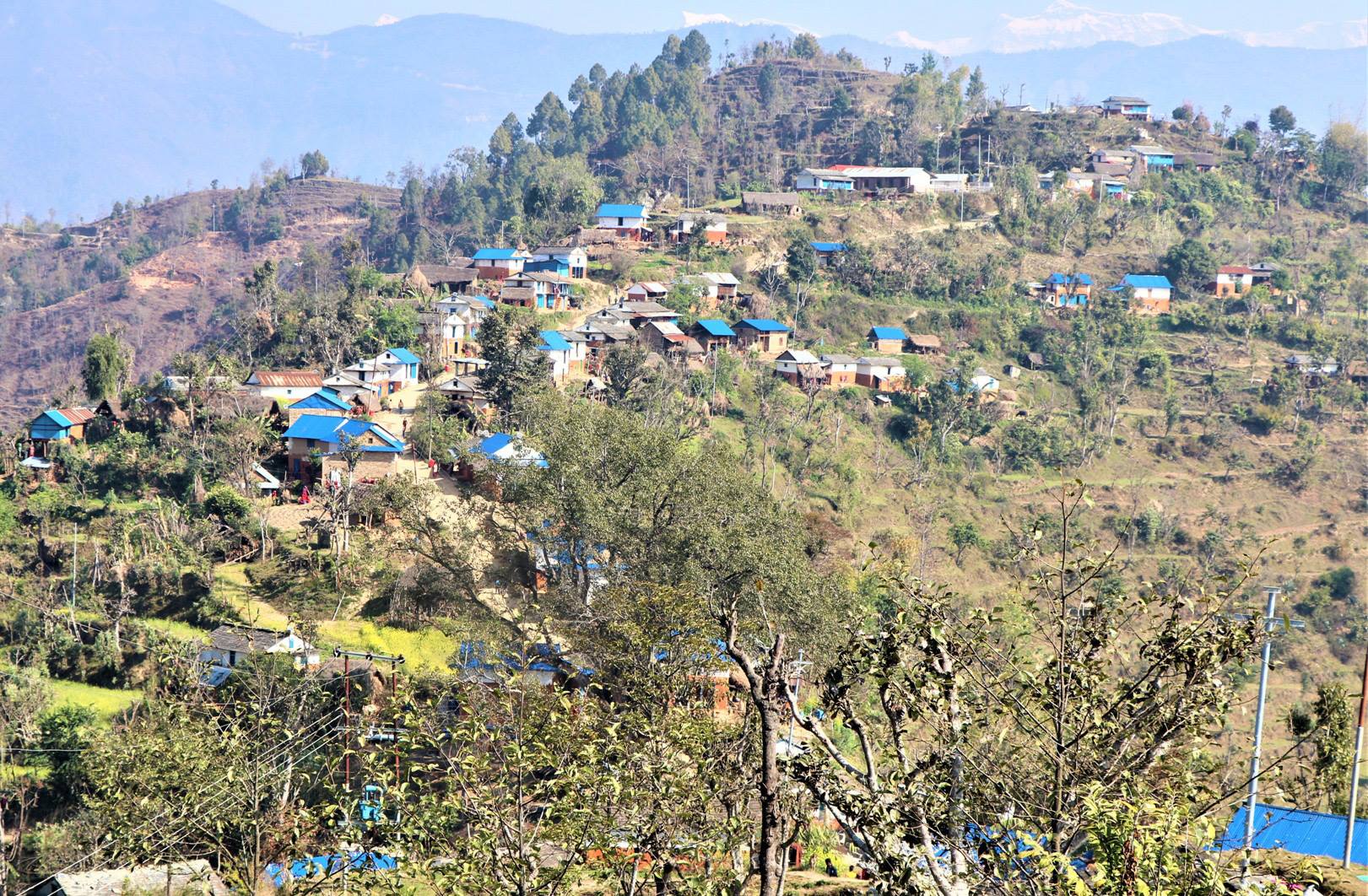 दलित बस्तीमा भोट तान्ने होडबाजी