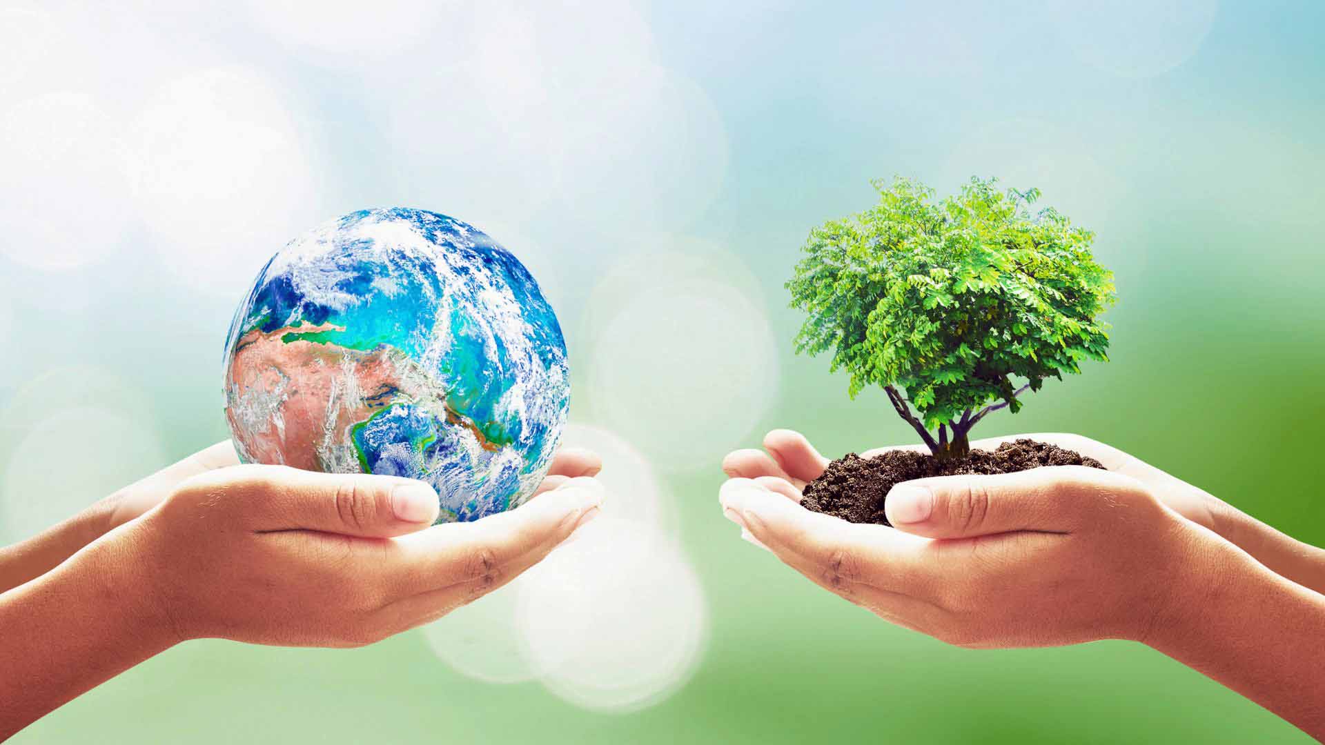 विश्व वातावरण दिवस: ‘हाम्रो भूमि, हाम्रो भविष्य’